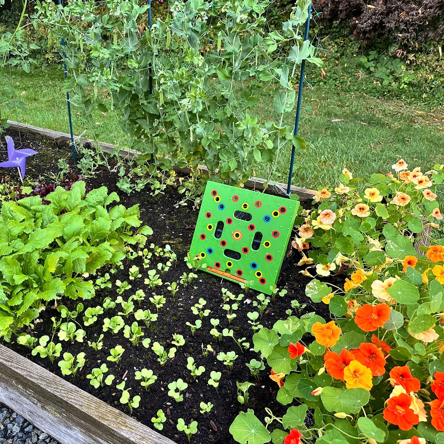 SeedShape™ Garden Companion